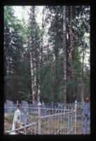 Berezonavolok. Cemetery