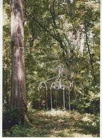 Metal gazebo frame in the woods