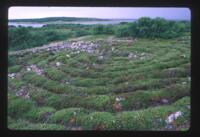 Neolithic stone labyrinth, Great Zaiatskii Island